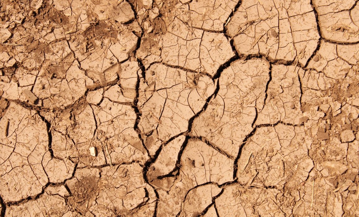 COP15-Desertification-Fight-Action-Cost