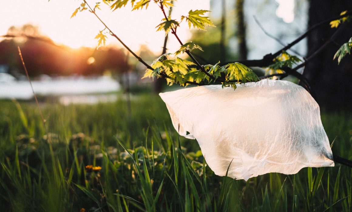 ONU-Traité-Plastique-Usage unique-Conséquences-Business