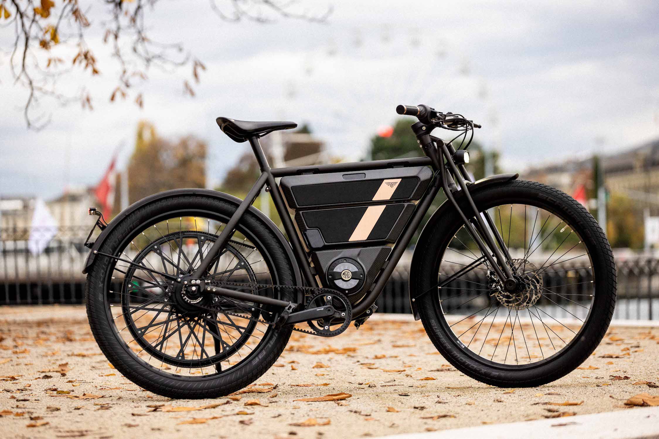 Motosacoche-Vélo-Electrique-Paul Merz-Genève-Suisse Motosacoche-Vélo-Electrique-Paul Merz-Genève-Suisse
